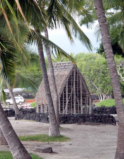 Hawaii2008-Refuge-004