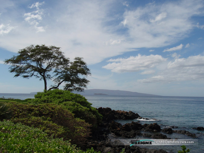 2010.11.11-1043-Hawaii