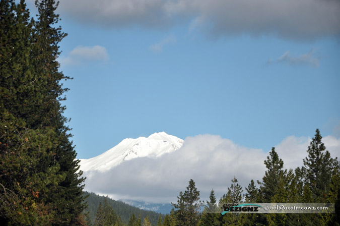 2010.11.28-1231-MtShasta