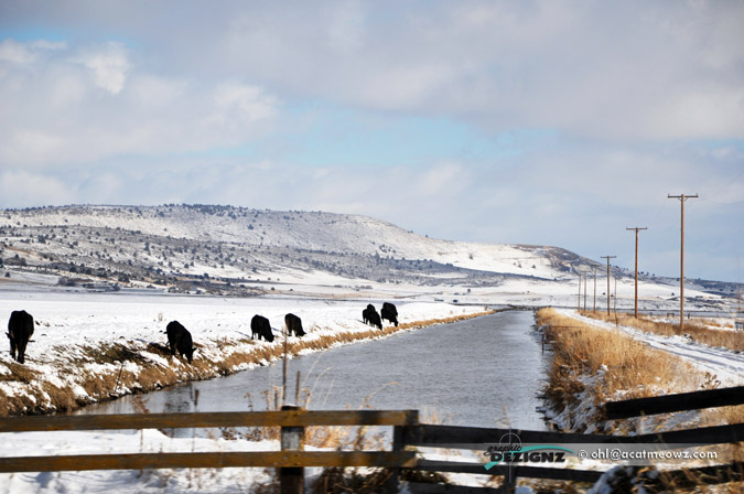 2010.11.28-1349-NearDoris