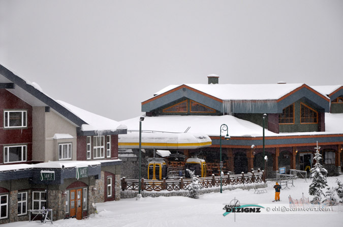 2010.11.30-1208-BigWhite