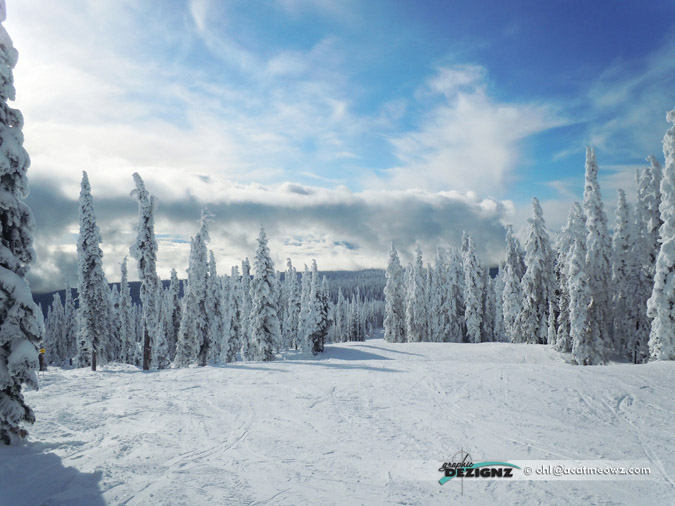 2010.12.02-1248-BigWhite