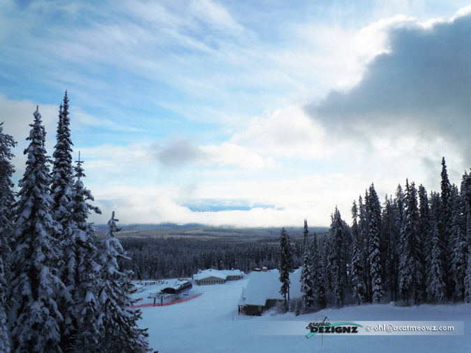 2010.12.02-1253-BigWhite