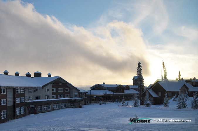 2010.12.02-1518-BigWhite