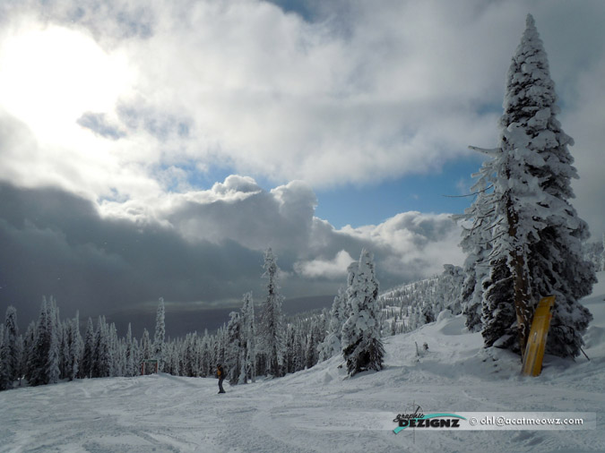 2010.12.03-1220-BigWhite