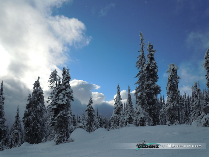 2010.12.03-1223-BigWhite