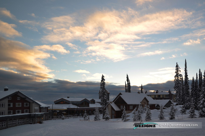 2010.12.03-1535-BigWhite