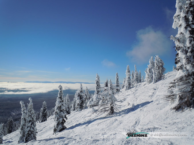 2010.12.04-1058-BigWhite