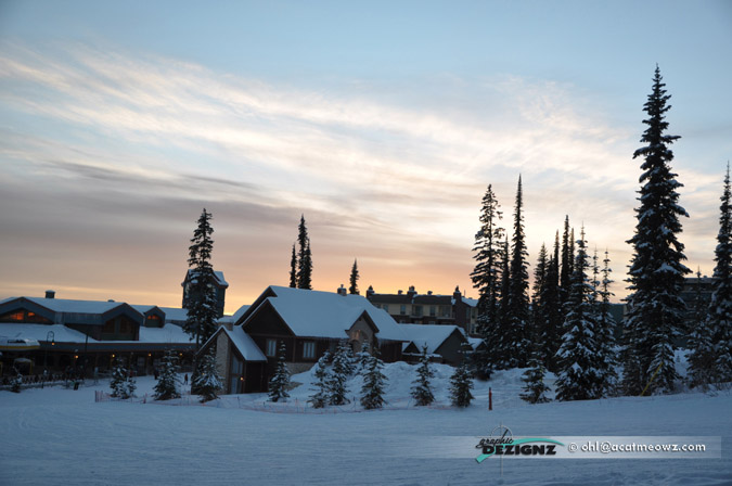 2010.12.05-1554-BigWhite