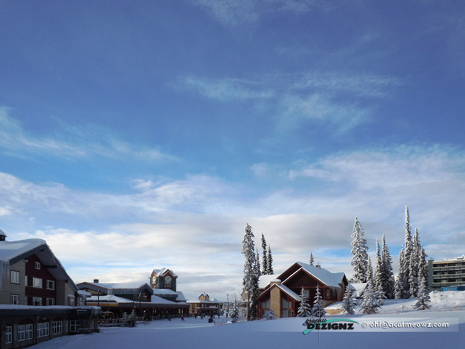 2010.12.10-1012-BigWhite