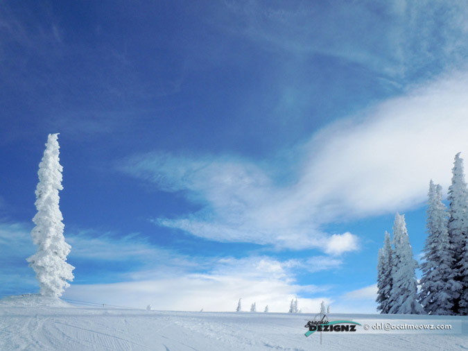 2010.12.10-1025-BigWhite