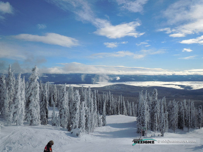 2010.12.10-1026-BigWhite