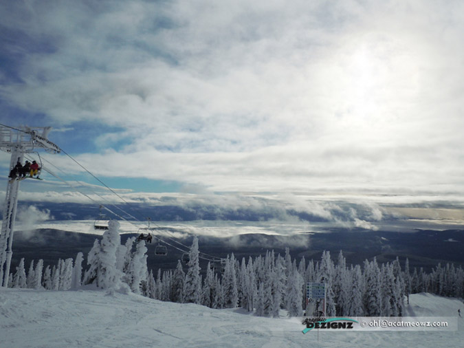 2010.12.10-1036-BigWhite