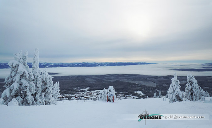 2010.12.11-1015-BigWhite