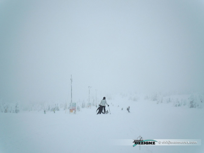 2010.12.12-1049-BigWhite