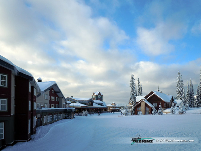 2010.12.13-0928-BigWhite