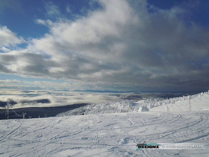 2010.12.13-0939-BigWhite