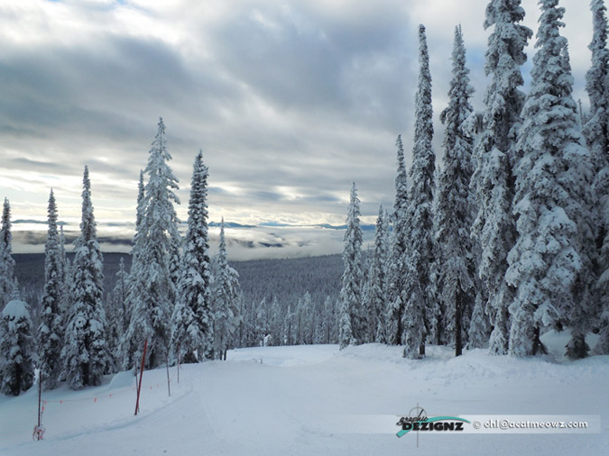 2010.12.13-1035-BigWhite