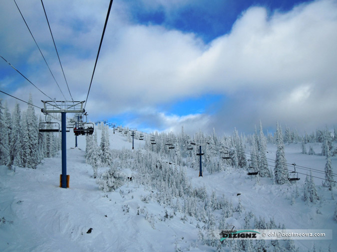 2010.12.13-1042-BigWhite