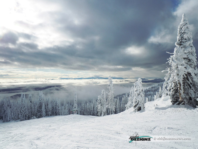 2010.12.13-1143-BigWhite