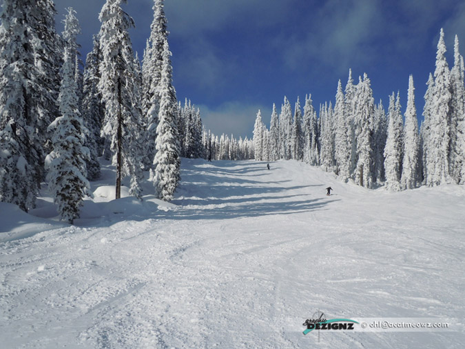 2010.12.13-1211-BigWhite