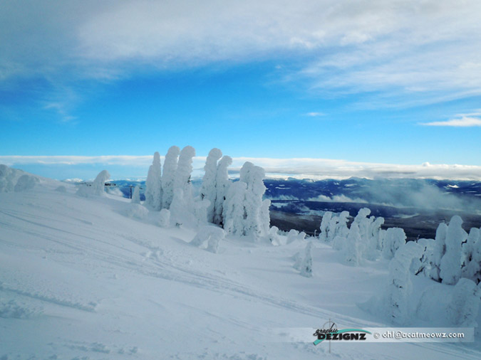 2010.12.14-1034-BigWhite