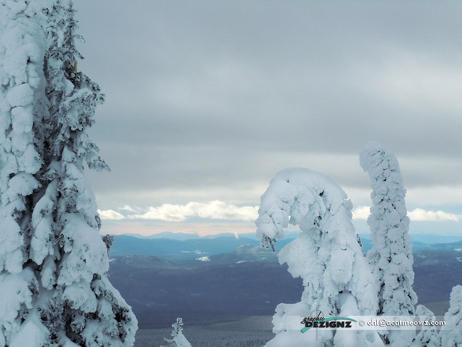 2010.12.15-1248-BigWhite