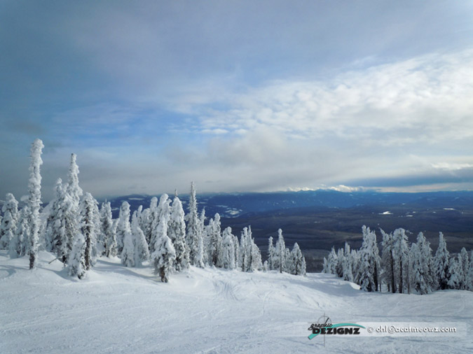 2010.12.15-1336-BigWhite