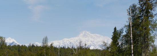 2009.05.20 Denali-001